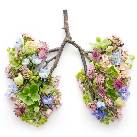 Top Organ Donation Questions Answered By An Attorney